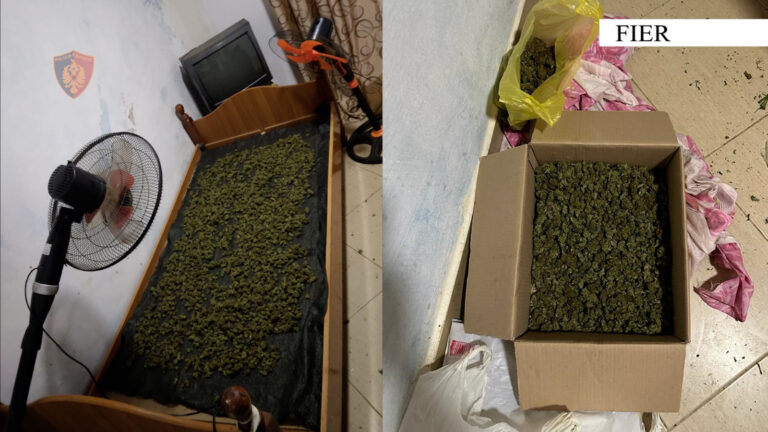 Arrestohet 43 vjeçari, u kap duke tharë 2 kg canabissativa