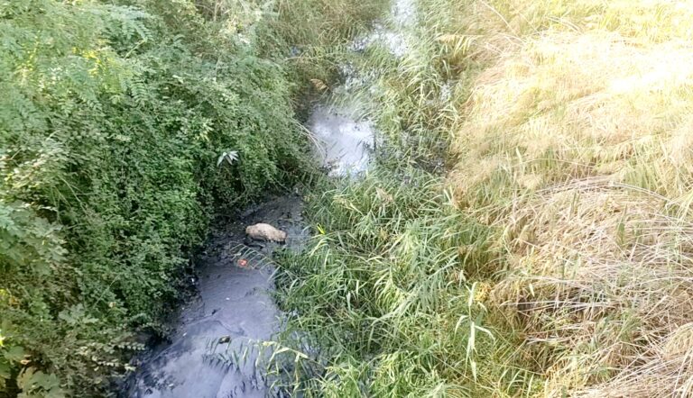 Ndotet me naftë bruto Përroi i Zharrzës, alarmohen shoqata, bashkia, banorët dhe Albpetroli