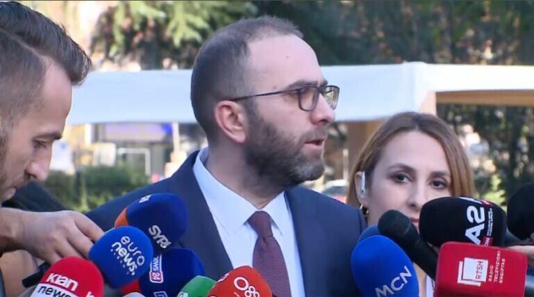 “Po na mohohet e drejta për përfaqësi në Reformën Zgjedhore”, Bardhi: S’do të tërhiqemi